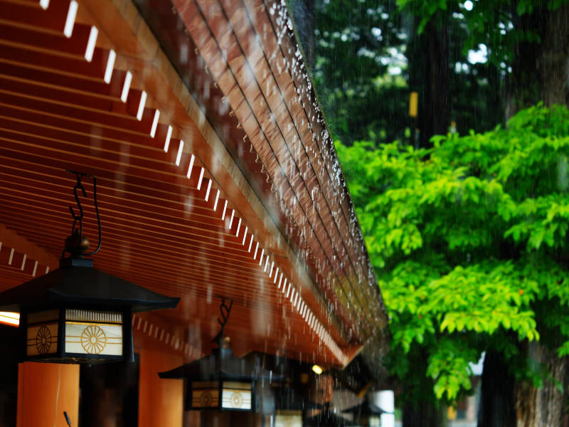 雨の日の神社の参拝についてのアイキャッチ画像