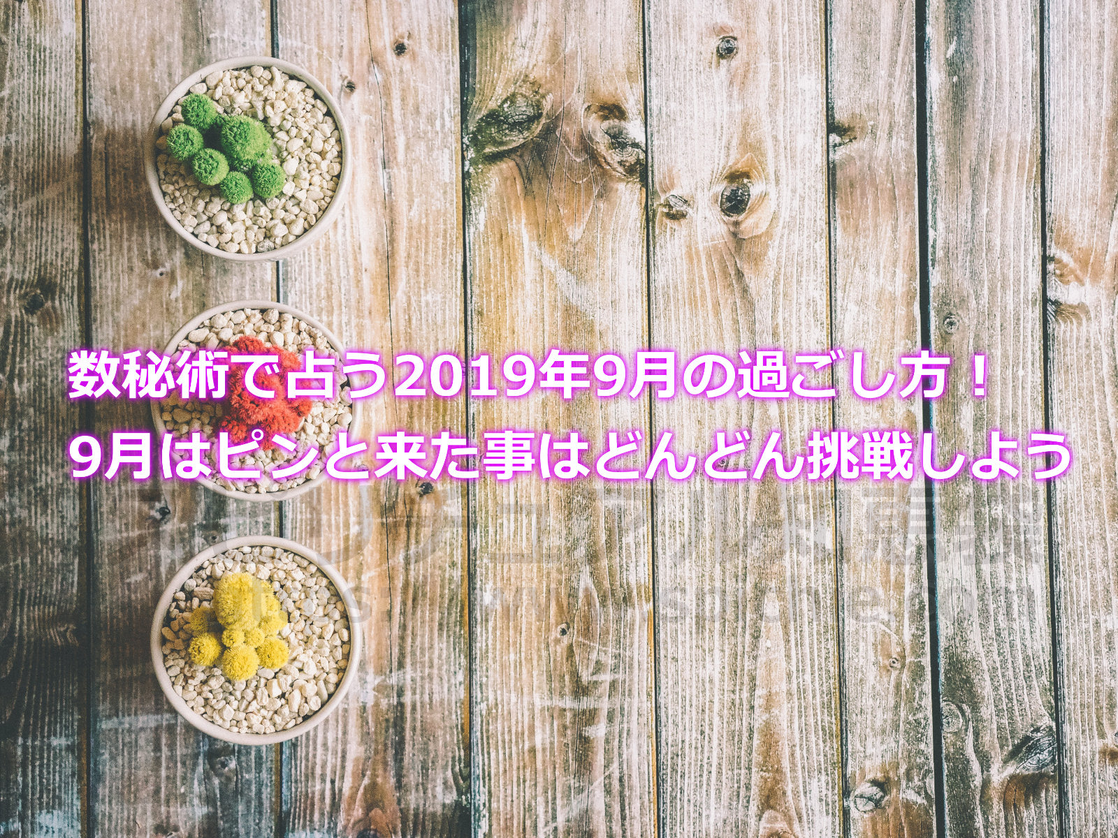 数秘術で占う2019年9月の過ごし方！9月はピンと来た事はどんどん挑戦しようのアイキャッチ画像