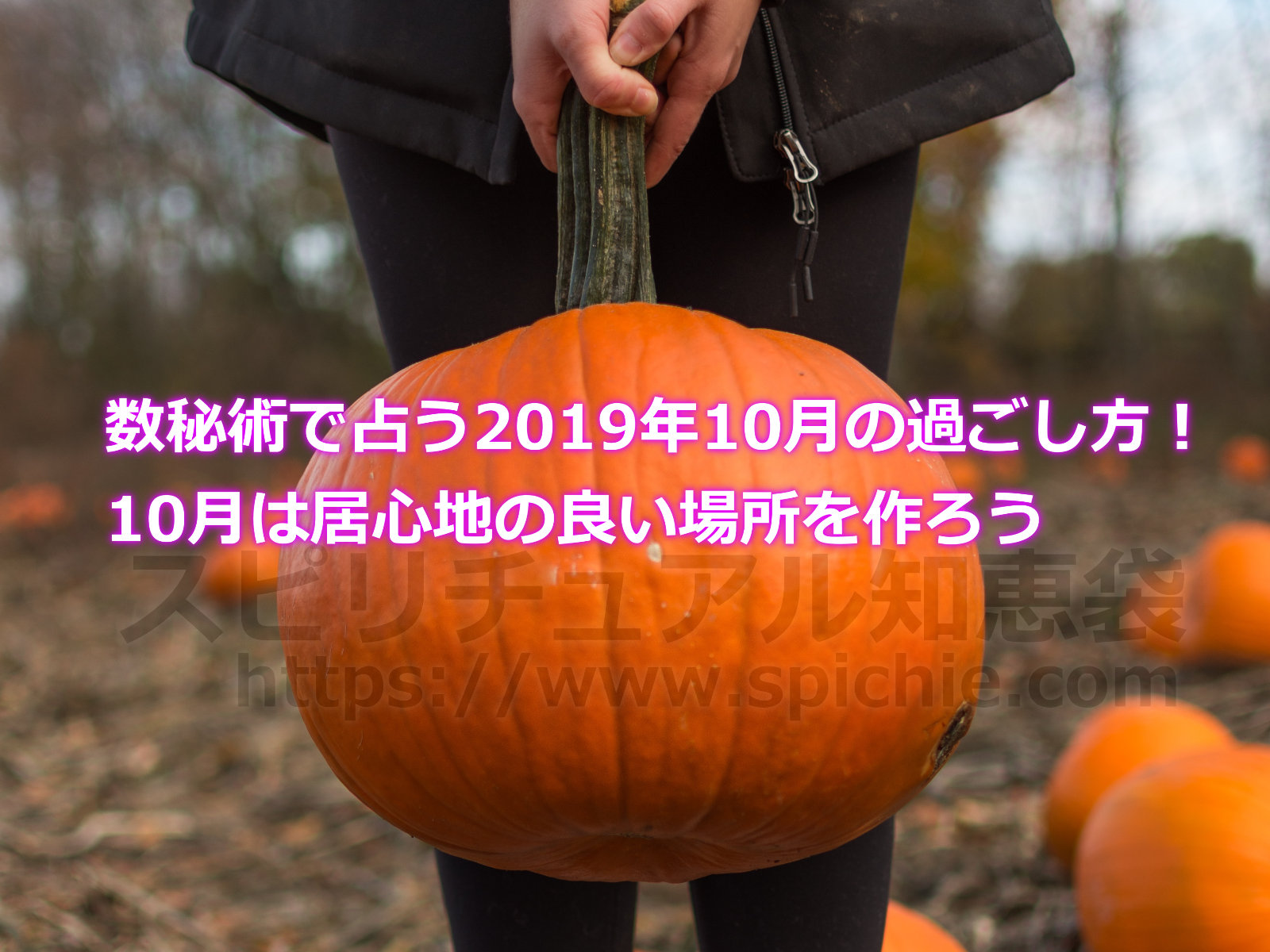 数秘術で占う2019年10月の過ごし方！10月は居心地の良い場所を作ろうのアイキャッチ画像