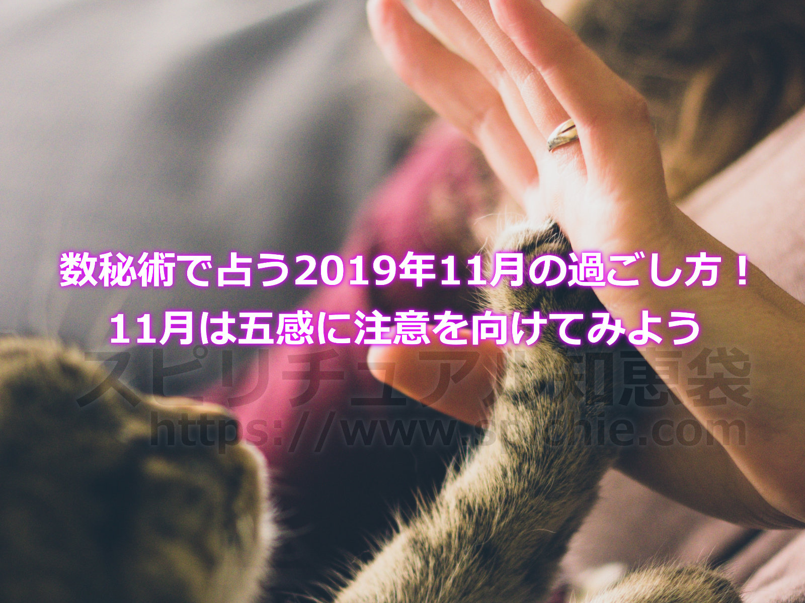 数秘術で占う2019年11月の過ごし方！11月は五感に注意を向けてみようのアイキャッチ画像