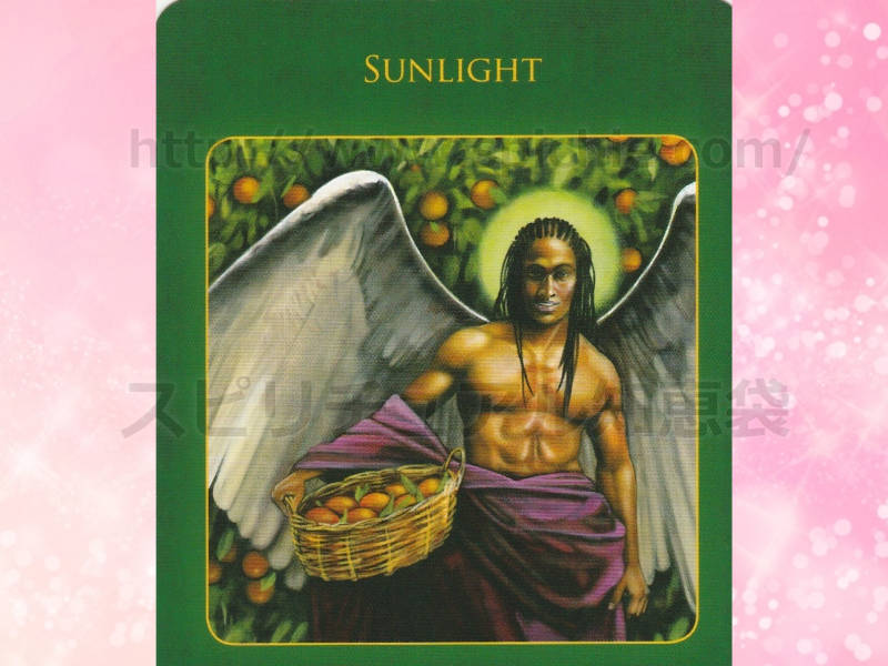 中のカードを選んだあなたへのメッセージ sunlight 日光　のカード画像