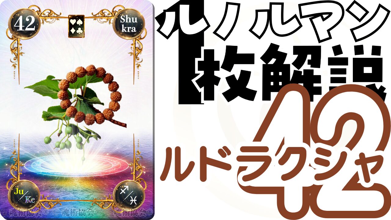 ヴェーダ数秘ルノルマンカード講座】カードの解説４２・ルドラクシャの意味とは？のアイキャッチ画像